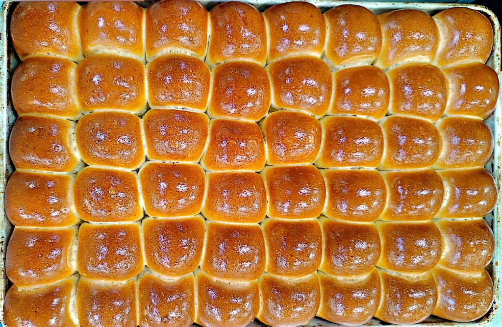 Parker roll plain 40gr