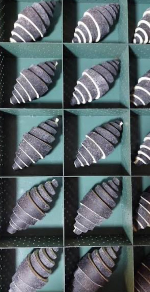 Croissant plain black raw  90gr