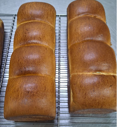 Brioche opened 600gr After Baking / 4Portions  Yellow Color 